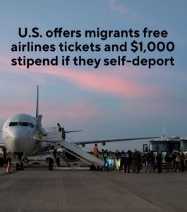 Trump Administration Launches New “Self-Deportation” Program Offering $1,000 and Free Flights