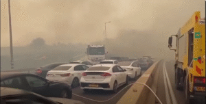 Massive Wildfires in Israel Force Evacuations and International Aid