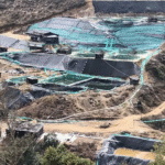 Exclusive: Trump team hears pitches on access to Myanmar’s rare earths