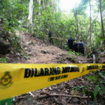 Smuggling activities have resumed now repeat again in where police discovered 139 graves and 106 bodies, believed to be Rohingyas, and 29 illegal immigrant detention camps
