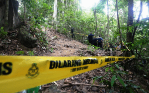 Smuggling activities have resumed now repeat again in where police discovered 139 graves and 106 bodies, believed to be Rohingyas, and 29 illegal immigrant detention camps