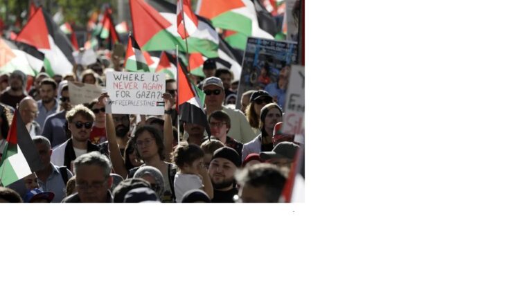 Recognising Palestine is just a way to ‘save face’ for Western leaders!