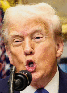 Trump’s Behaviour Through a Psychiatric Lens: Traits Without a Diagnosis