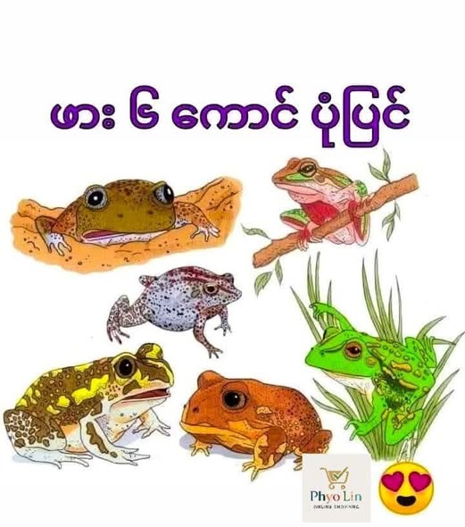 The Tale of Six Frogs