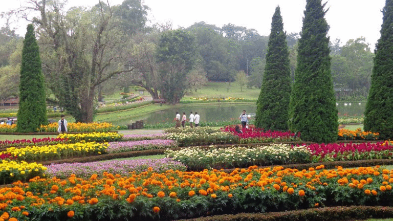 Ethnic and Religious Minorities in Myanmar: History, Distortion, and the Call for Equal Citizenship