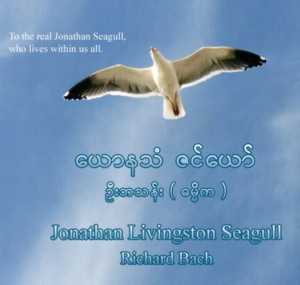 Fly Beyond Limits: The Spirit of Jonathan Livingston Seagull