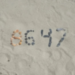 “86 47″meaning “86” (remove or get rid of) the 47th US President, Donald Trump