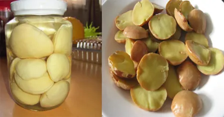 Da Nyin Thee တညင်းသီး (Jengkol / Dogfruit / Buah Jering) Has No Medicinal Properties — It Is Toxic to the Kidneys