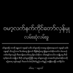 The Crossroads of the Bamar Armed Resistance