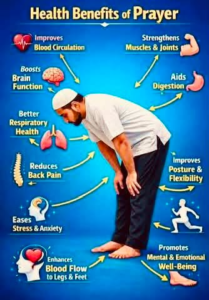 The Miraculous Link Between Namaz (Prayer) and Brain Health And The Physical and Universal Benefits နာမာဇ်ဖတ်ခြင်းနှင့် ဦးနှောက်ကျန်းမာရေးရဲ့ အံ့ဖွယ်ဆက်နွှယ်မှု