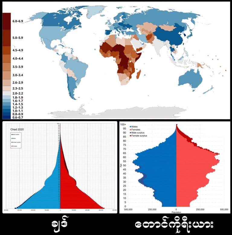 On the rise of nationalist parties and declining birth rates resulting in Islamophobia