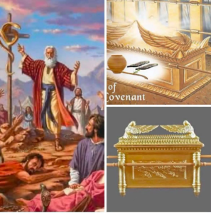 Reflections on Sacred Symbols and Images in the Bible (Voice of Unity)